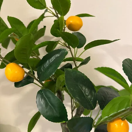 Apartman Split بيت ضيافة