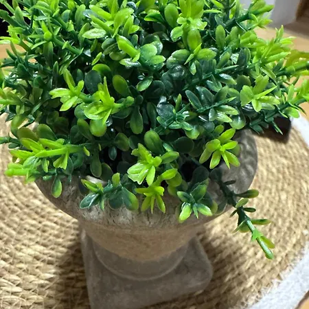 Apartman Split * Split