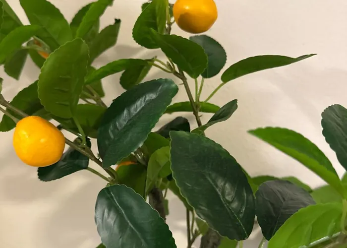 Apartman Split Vendégház