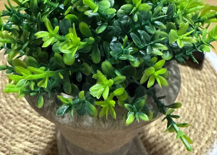 Apartman Split * Split