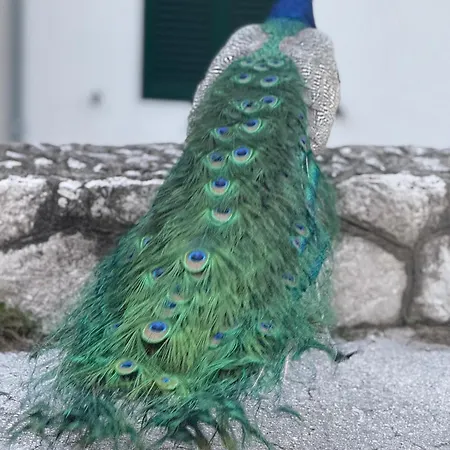 Apartman Split * 스플리트